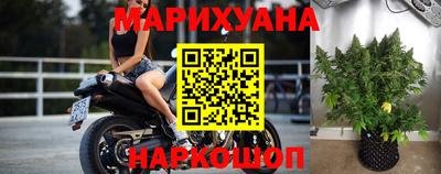 винт Новозыбков