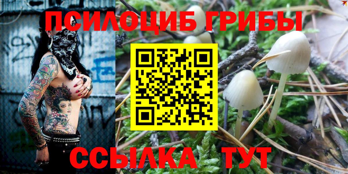 Сердобск  Галлюциногенные грибы GOLDEN TEACHER  Вход с VPN 