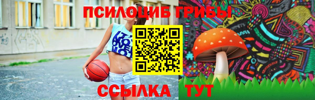 Псилоцибиновые грибы Psilocybine cubensis Сердобск